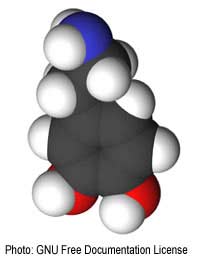 Dopamine Fibromyalgia Agonist Drug